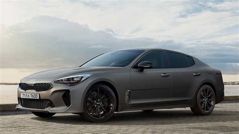 Stinger .